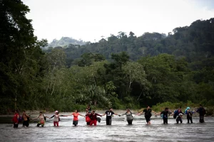 migración