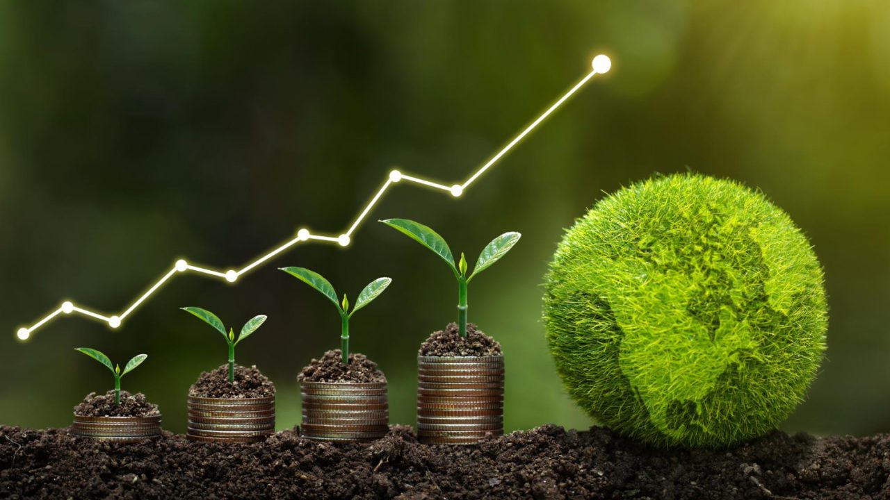 Finanzas personales regenerativas: el medio ambiente y las personas al centro