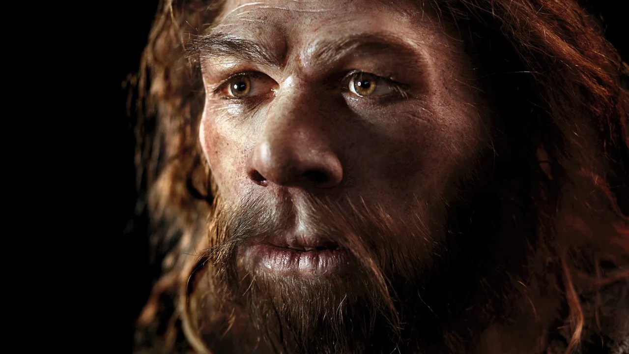 Los primeros Homo sapiens ya habían llegado hasta el noroeste de Europa hace 47,000 años