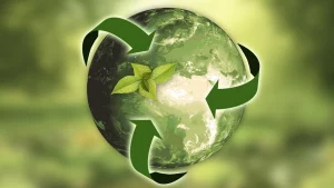 Sustentabilidad-administración
