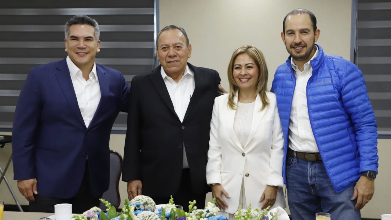 PAN, PRI y PRD perfilan a exmorenista Lucía Meza para Morelos