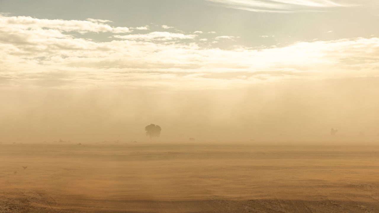 ONU advierte mayor frecuencia de tormentas de arena y polvo en el mundo