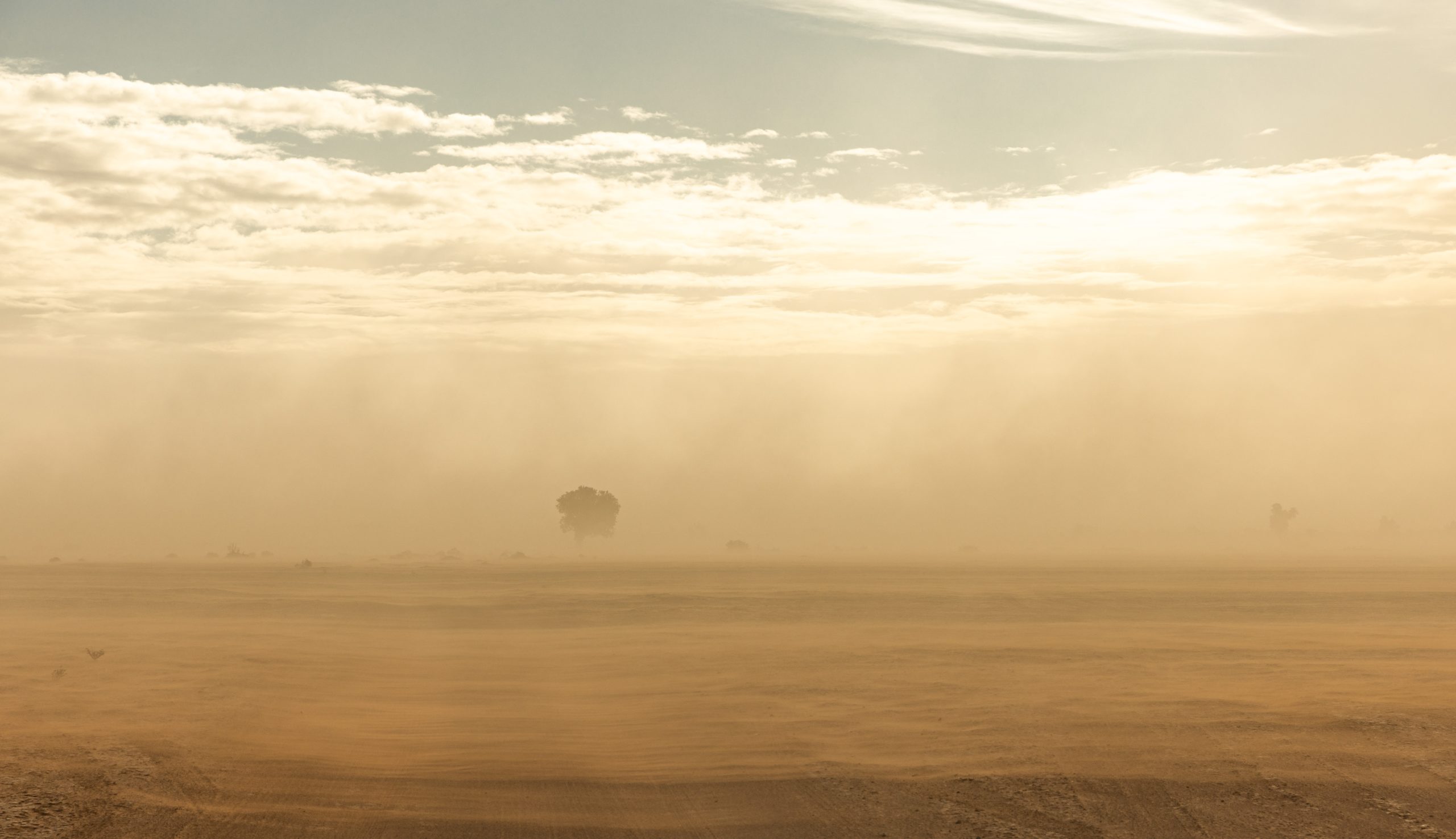 ONU advierte mayor frecuencia de tormentas de arena y polvo en el mundo