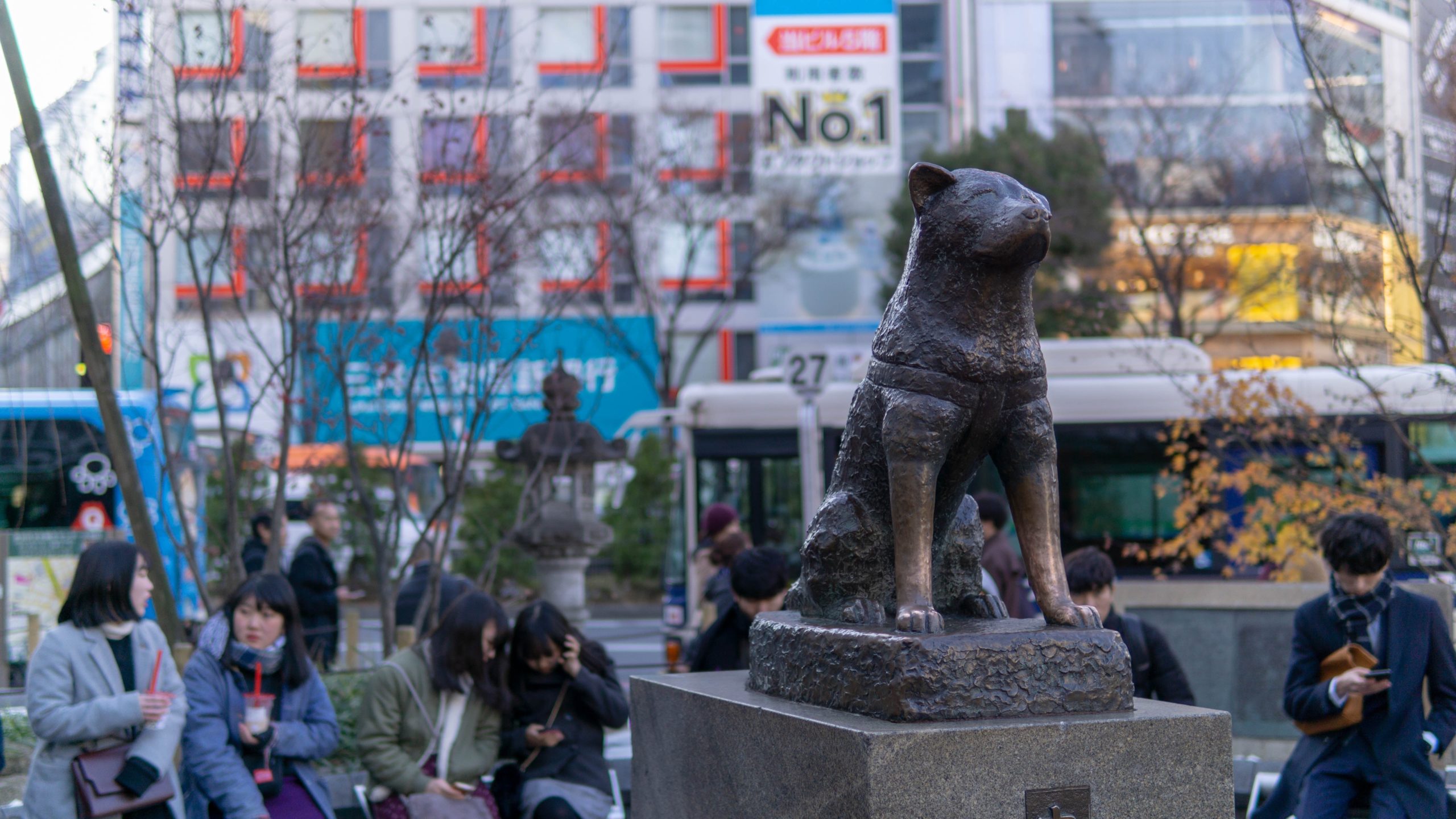 Museo que conserva al perro Hachiko disecado logra juntar fondos para sobrevivir