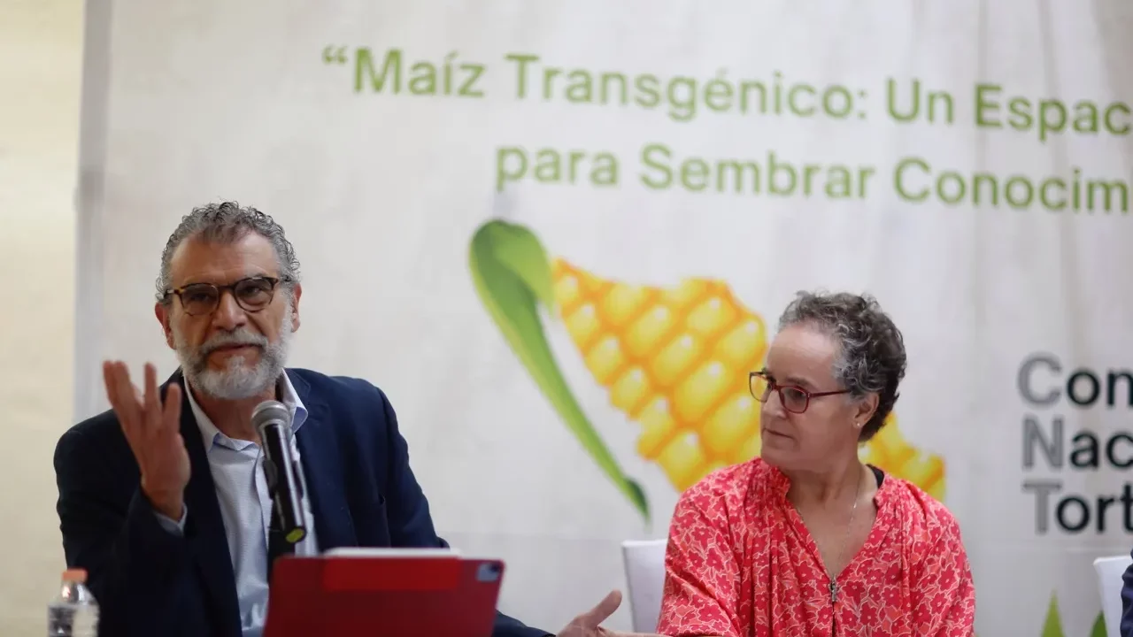 Empresarios cuestionan restricción al uso de maíz transgénico