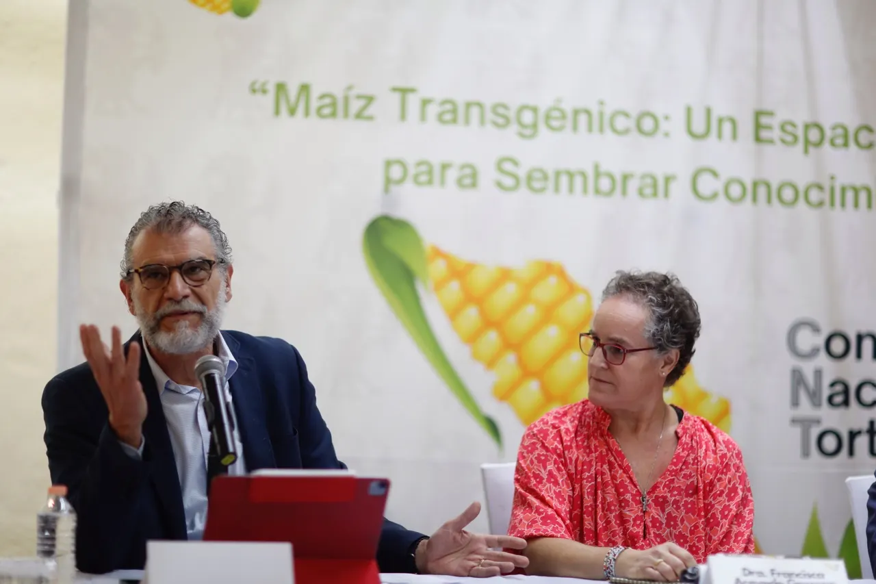 Empresarios cuestionan restricción al uso de maíz transgénico