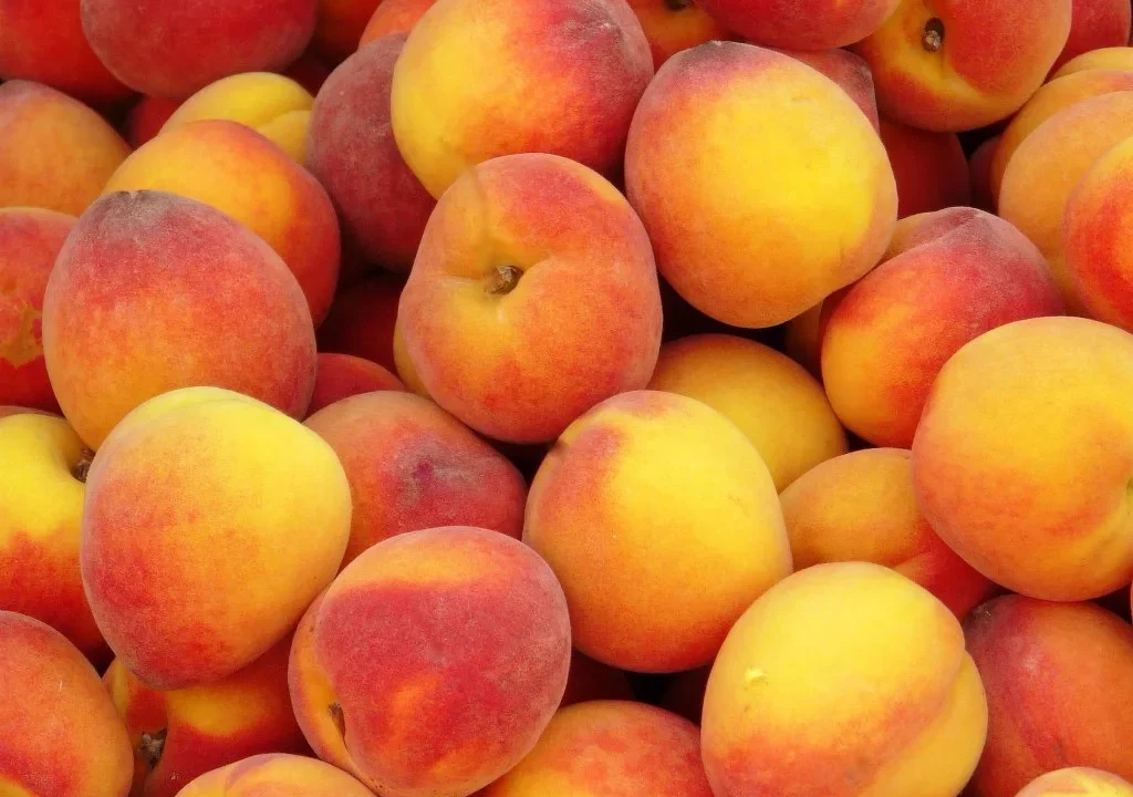 Cofepris advierte posible contaminación en frutas de HMC Farms
