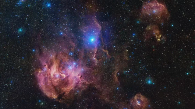 Pollo-Corredor-nebulosa