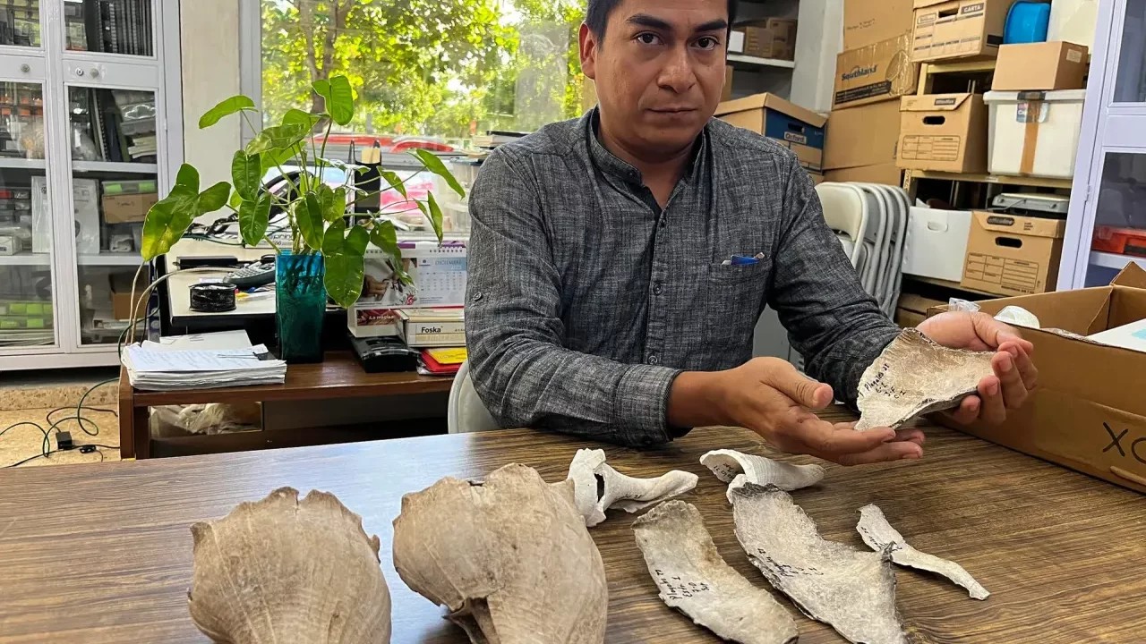 Descubren campamento prehispánico de los mayas en Yucatán