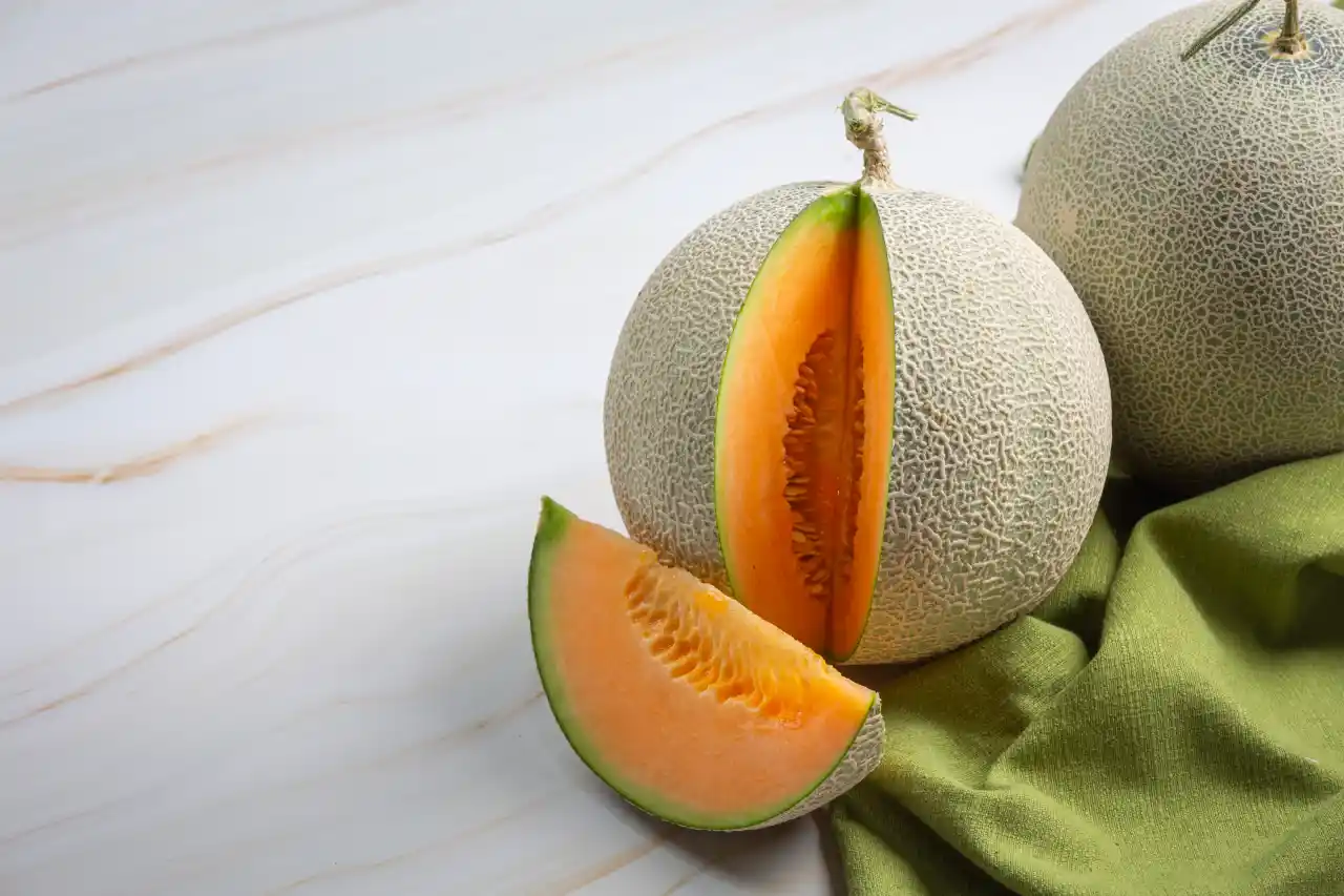 melones-canadá-méxico