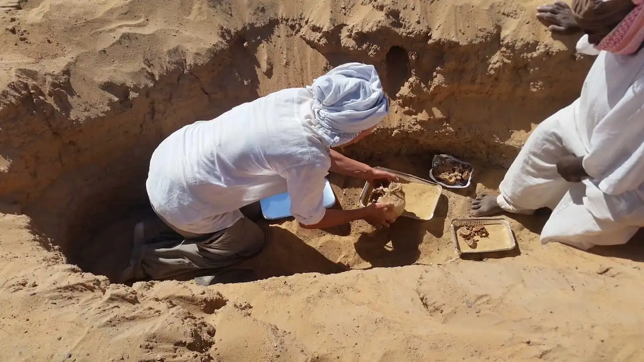 Descubren el primer caso de artritis reumatoide en un esqueleto del Antiguo Egipto