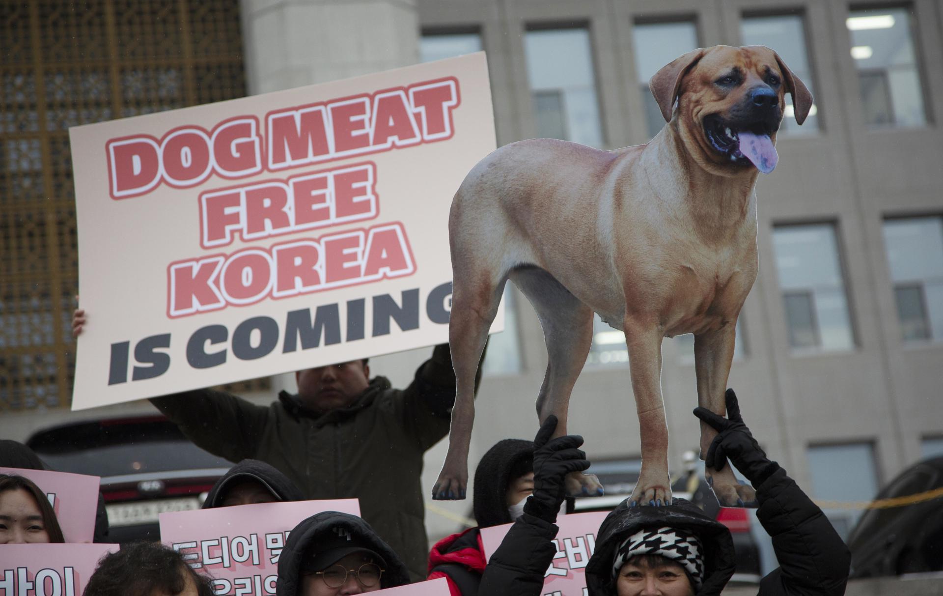 Consumo de perro: una práctica todavía vigente en algunos países de Asia