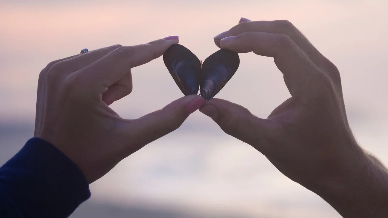 Estas son las 5 fases de las relaciones amorosas, ¿en cuál estás tú?