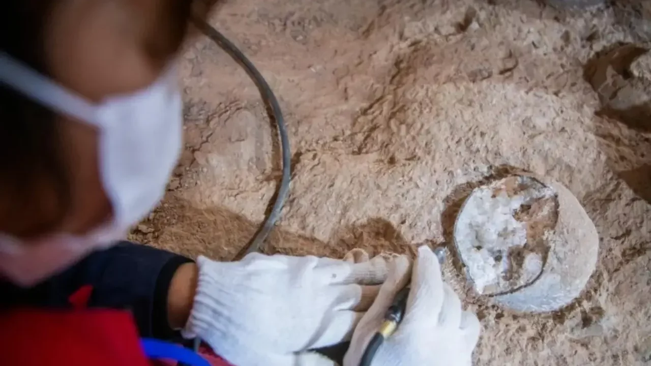 Descubren en China huevos de dinosaurio cristalizados, un fenómeno extremadamente raro