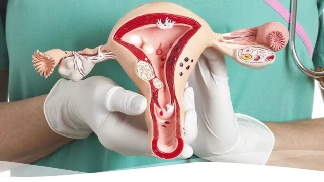 menopausia-metales pesados-ovarios