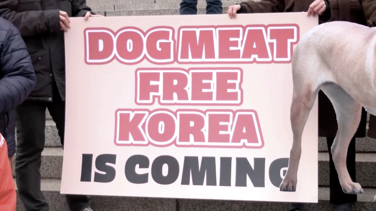 Corea del Sur aprueba prohibir el consumo humano de carne de perro para 2027