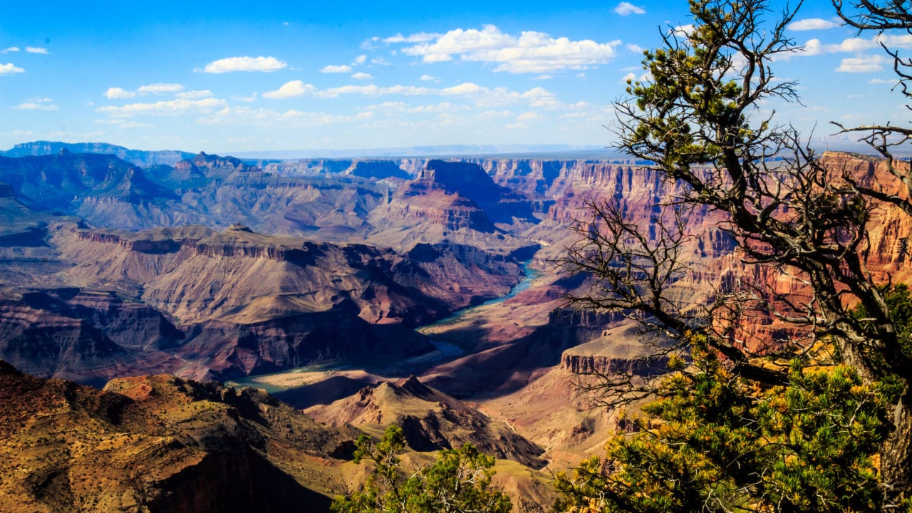 La Cámara Milenio inicia en EU con la toma de una fotografía del desierto de Arizona