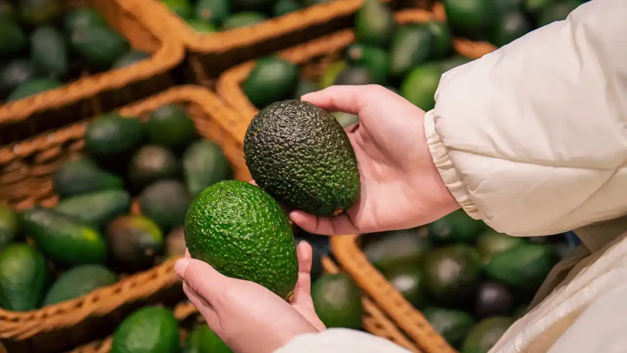 AMLO espera que el problema del aguacate con EU quede resuelto este lunes