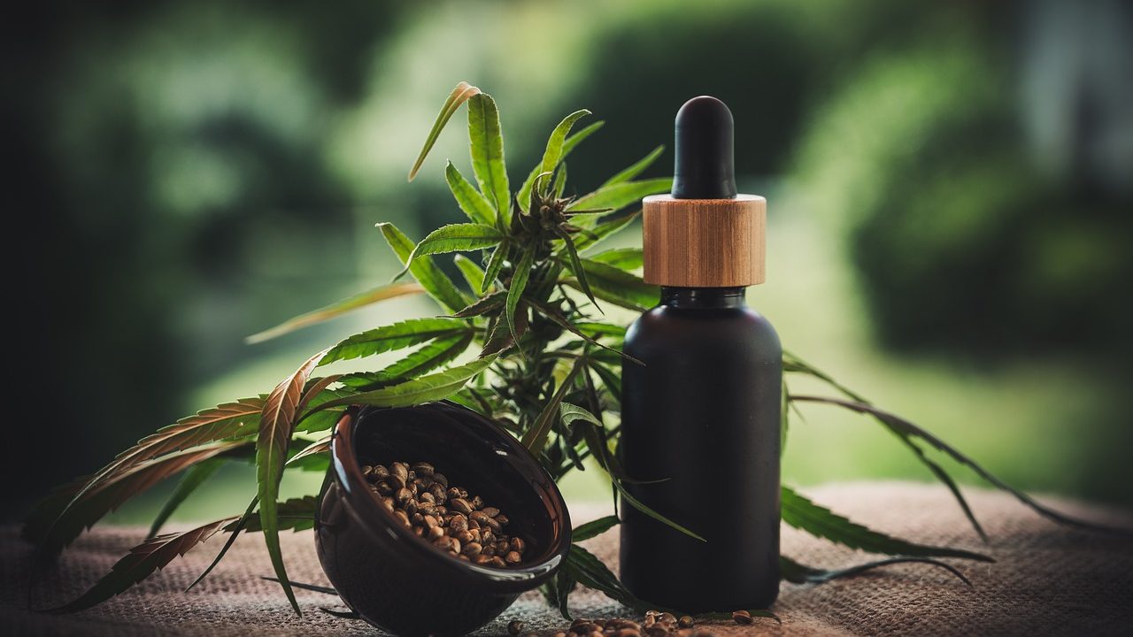 El cannabis como posible tratamiento para las adicciones: un enfoque prometedor