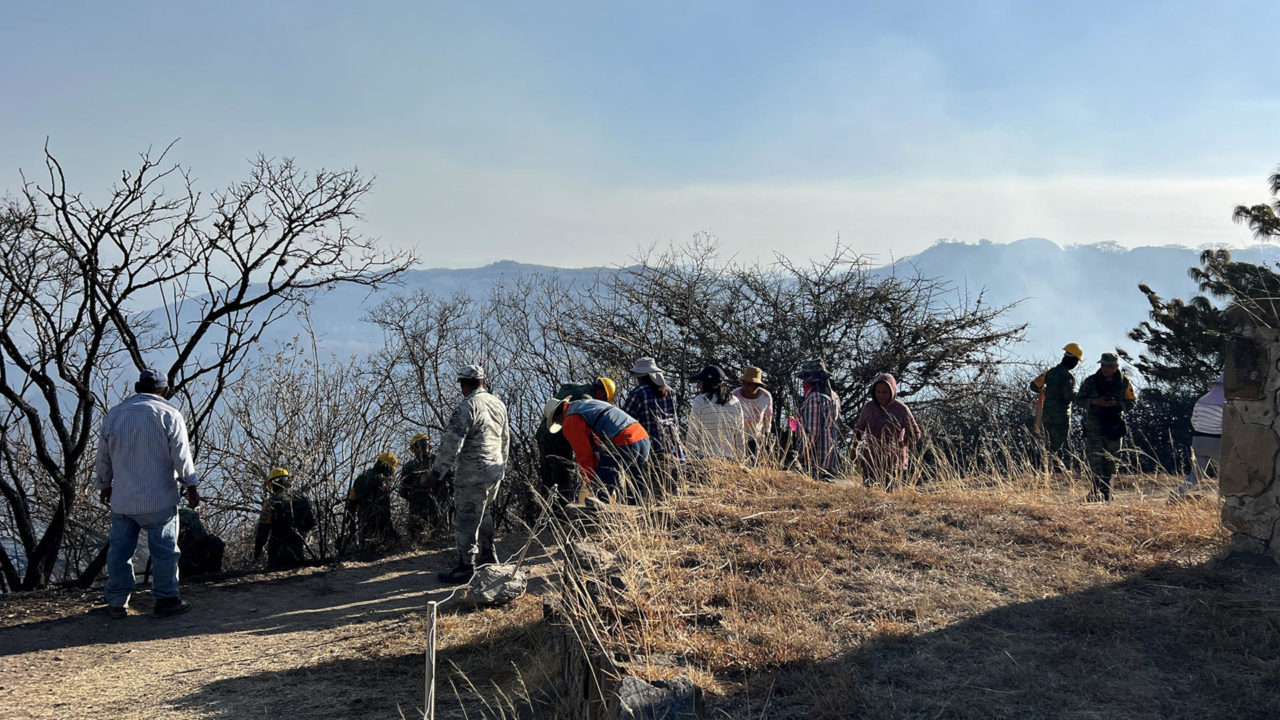 Incendio afecta 30 hectáreas de la zona arqueológica de Monte Albán, en Oaxaca