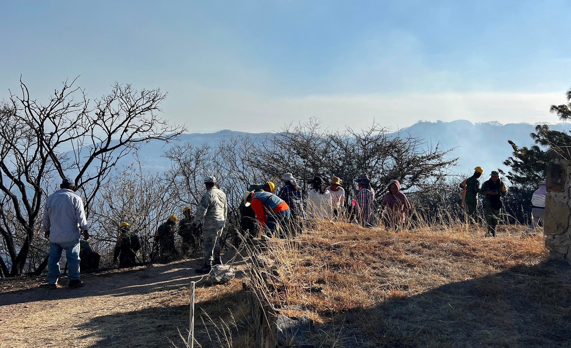 Incendio afecta 30 hectáreas de la zona arqueológica de Monte Albán, en Oaxaca