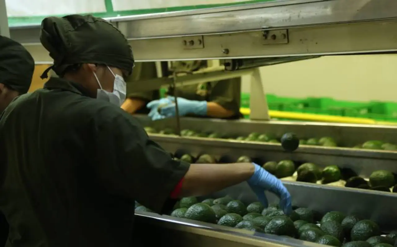 México admite petición de EU y revisará derechos laborales en RV Fresh Foods de Michoacán