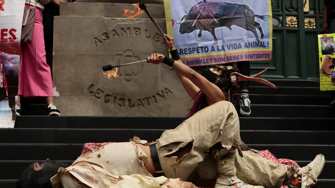 Activistas protestan para exigir que Congreso capitalino prohíba corridas de toros
