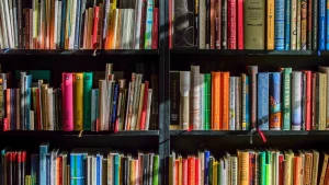 Dia Mundial del Libro