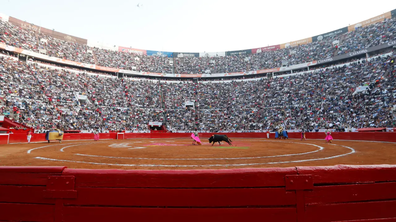 La Plaza de Toros México anuncia que siguen las corridas taurinas