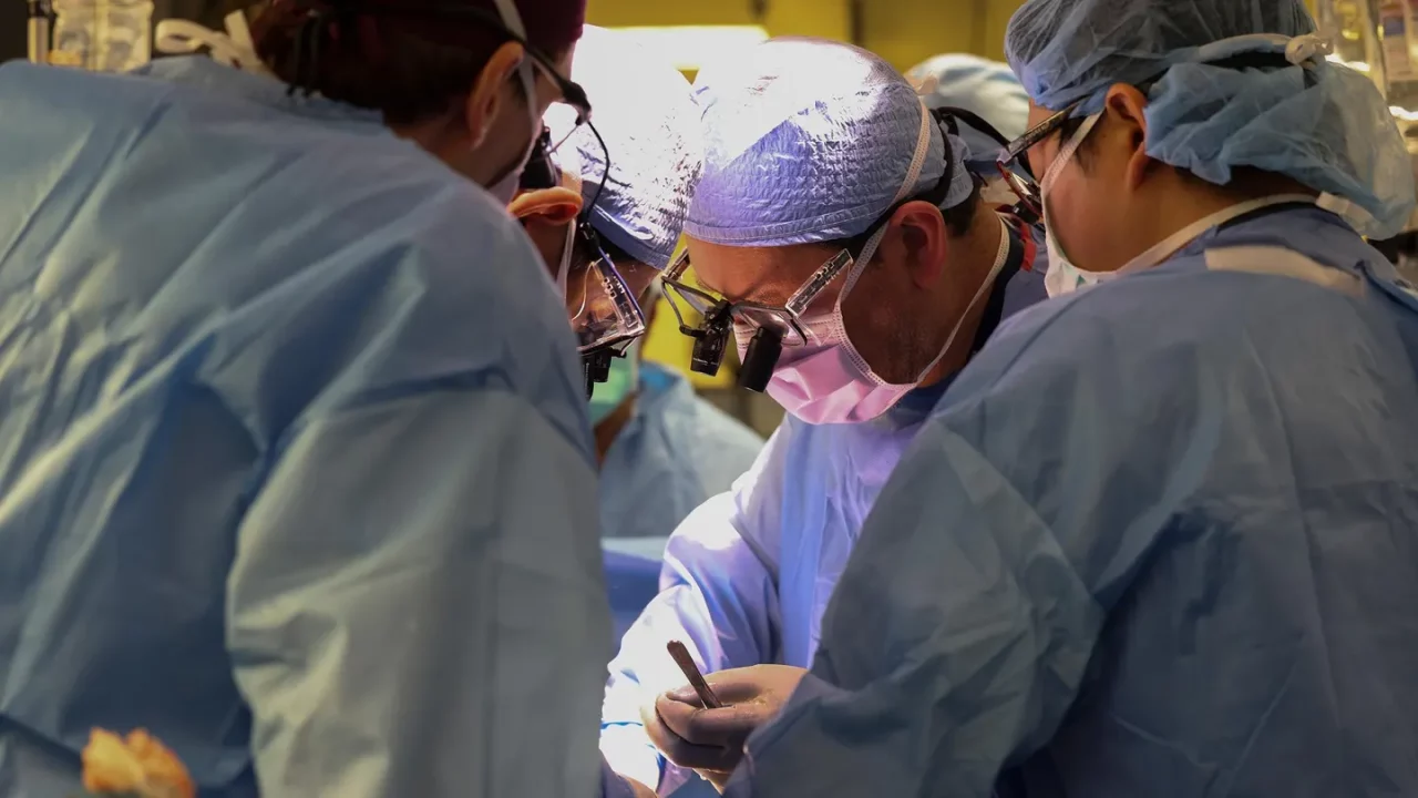 La startup detrás del primer trasplante de riñón entre cerdos y humanos se dirige a corazones e hígados