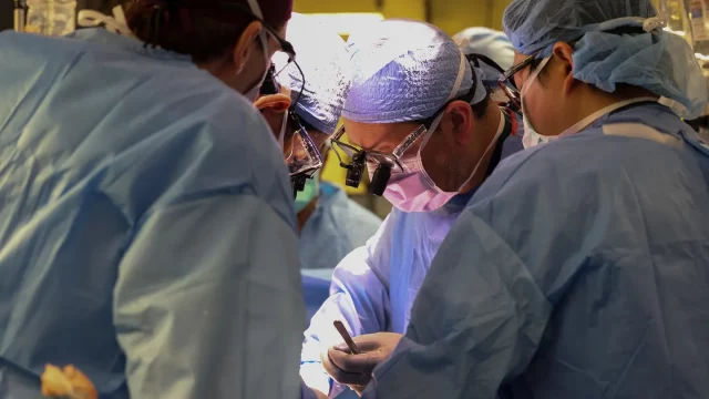 Los cirujanos realizan el primer trasplante de riñón de cerdo genéticamente modificado del mundo a un ser humano vivo en el Hospital General de Massachusetts. HOSPITAL GENERAL DE MASSACHUSETTS