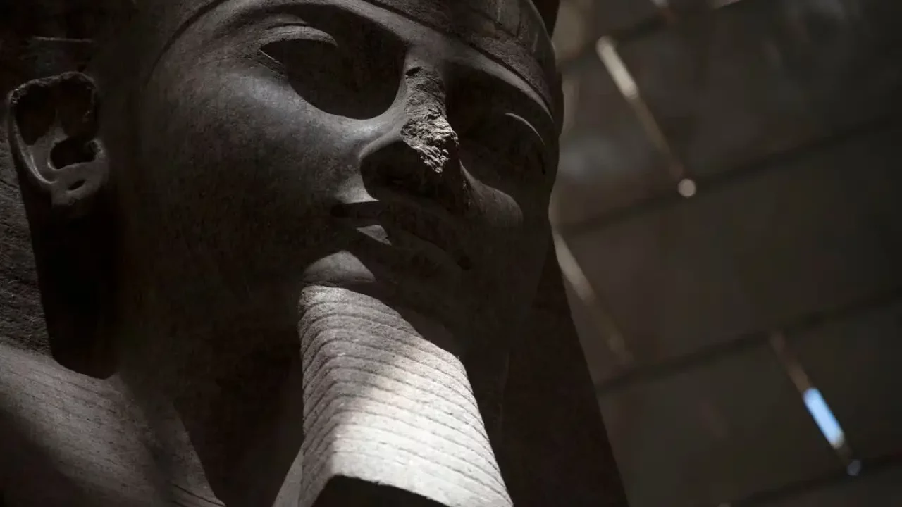 Encuentran la parte superior del coloso de Ramsés II, a casi un siglo de su hallazgo