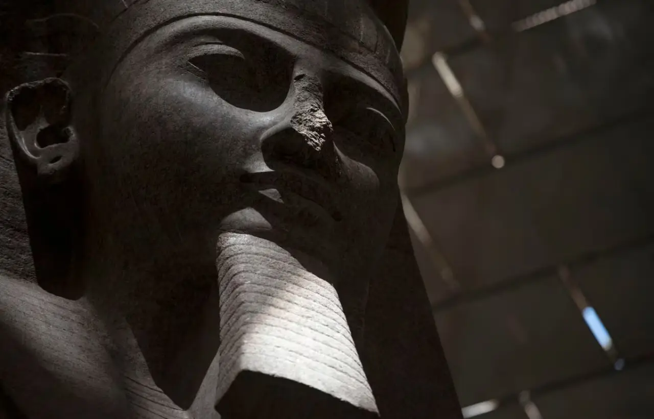 Encuentran la parte superior del coloso de Ramsés II, a casi un siglo de su hallazgo