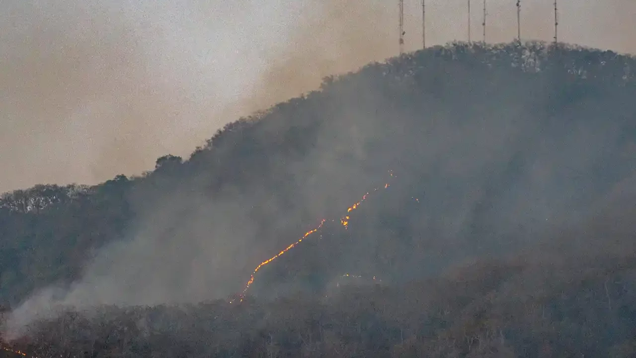 Austeridad republicana merma capacidad de Conafor para apagar incendios: Coparmex