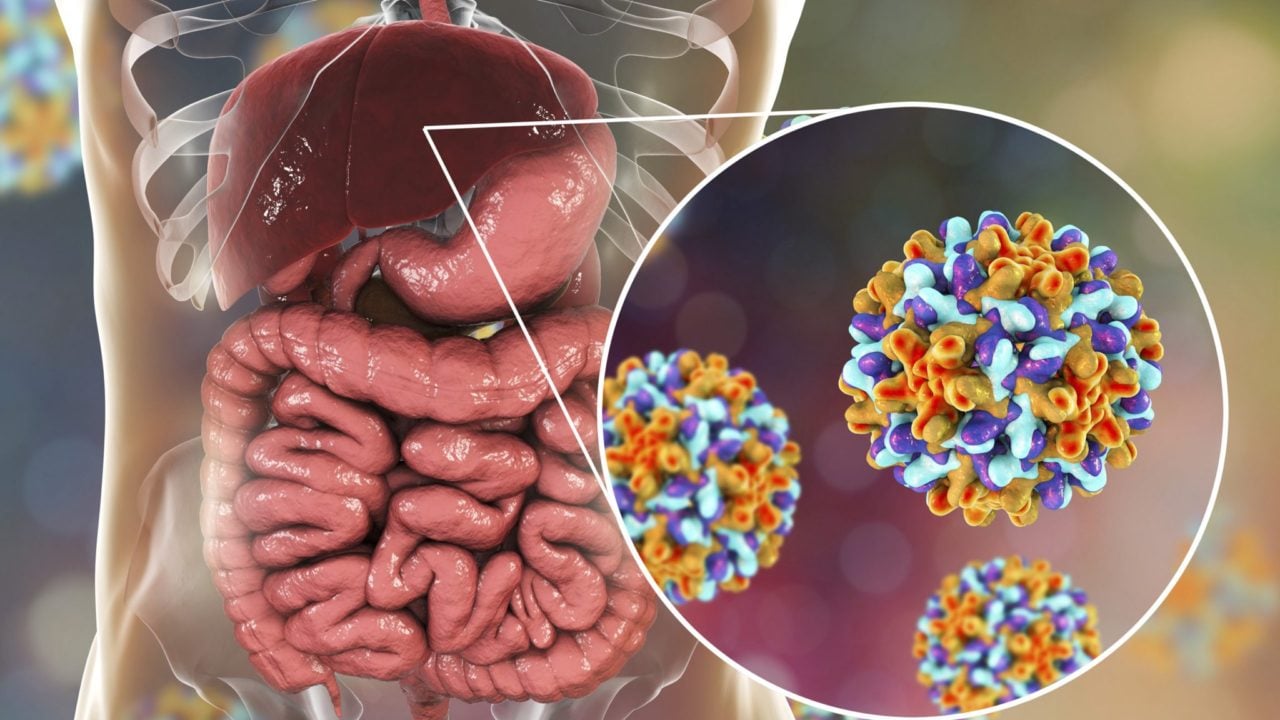 Mortalidad por hepatitis viral registra estancamiento luego de tres años de defunciones