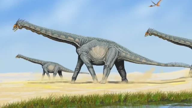 Titanosaurio-dinosaurio-Patagonia