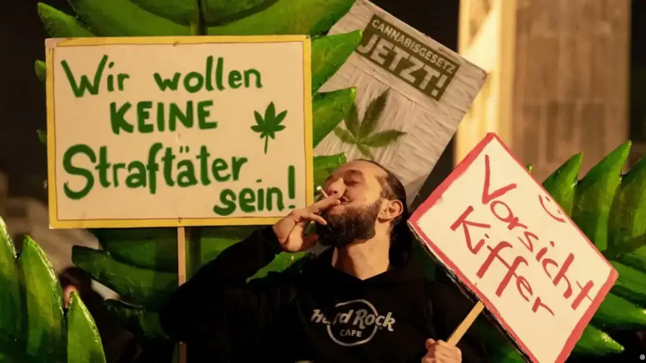 El cannabis domina el consumo de drogas en Europa con un 59%, luego el MDMA