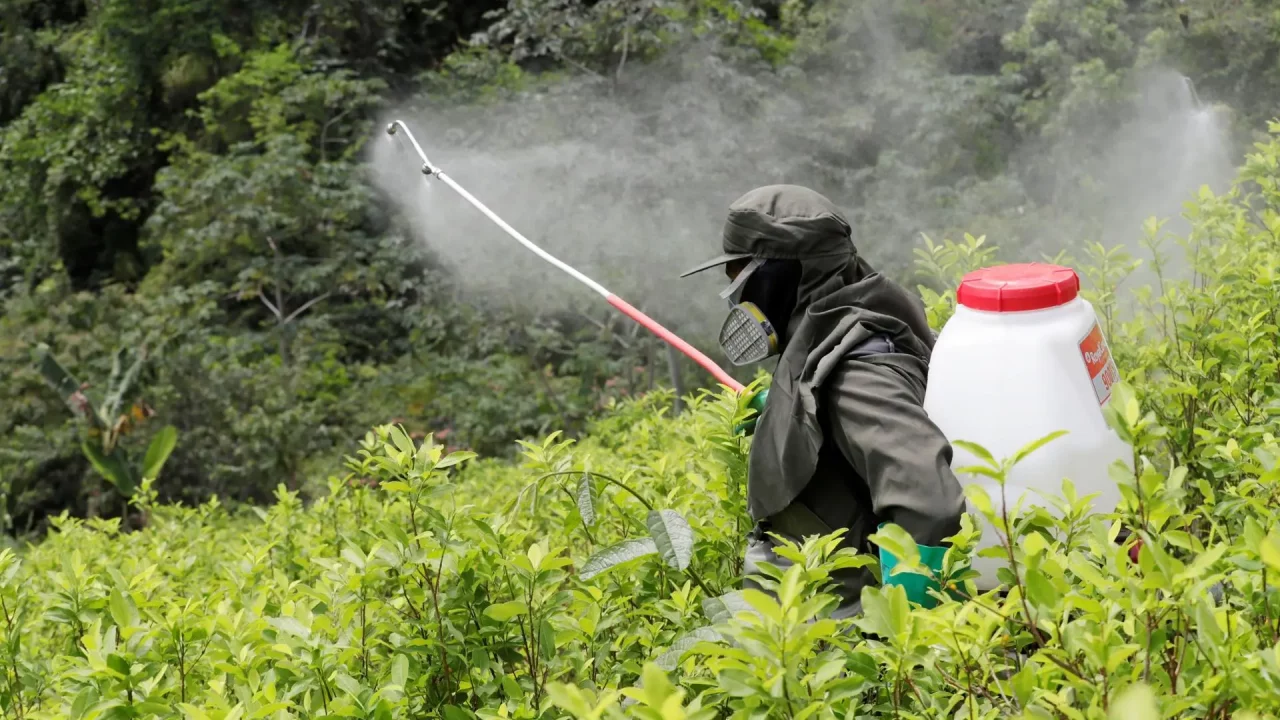 Jueza reduce de 2,250 a 400 mdd una condena a Bayer por uso del herbicida Roundup