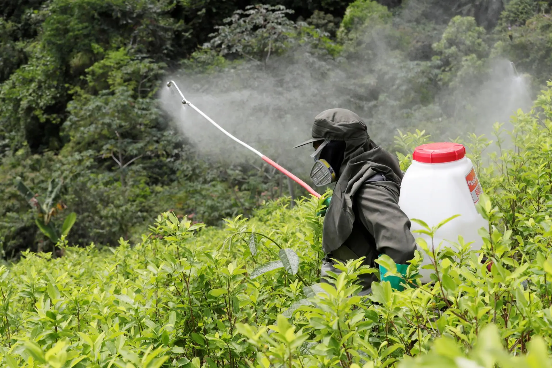 Jueza reduce de 2,250 a 400 mdd una condena a Bayer por uso del herbicida Roundup