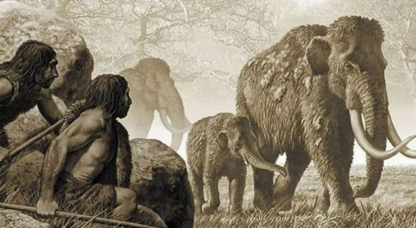 Los homínidos de la península ibérica se alimentaron de elefantes hace 1.2 millones de años
