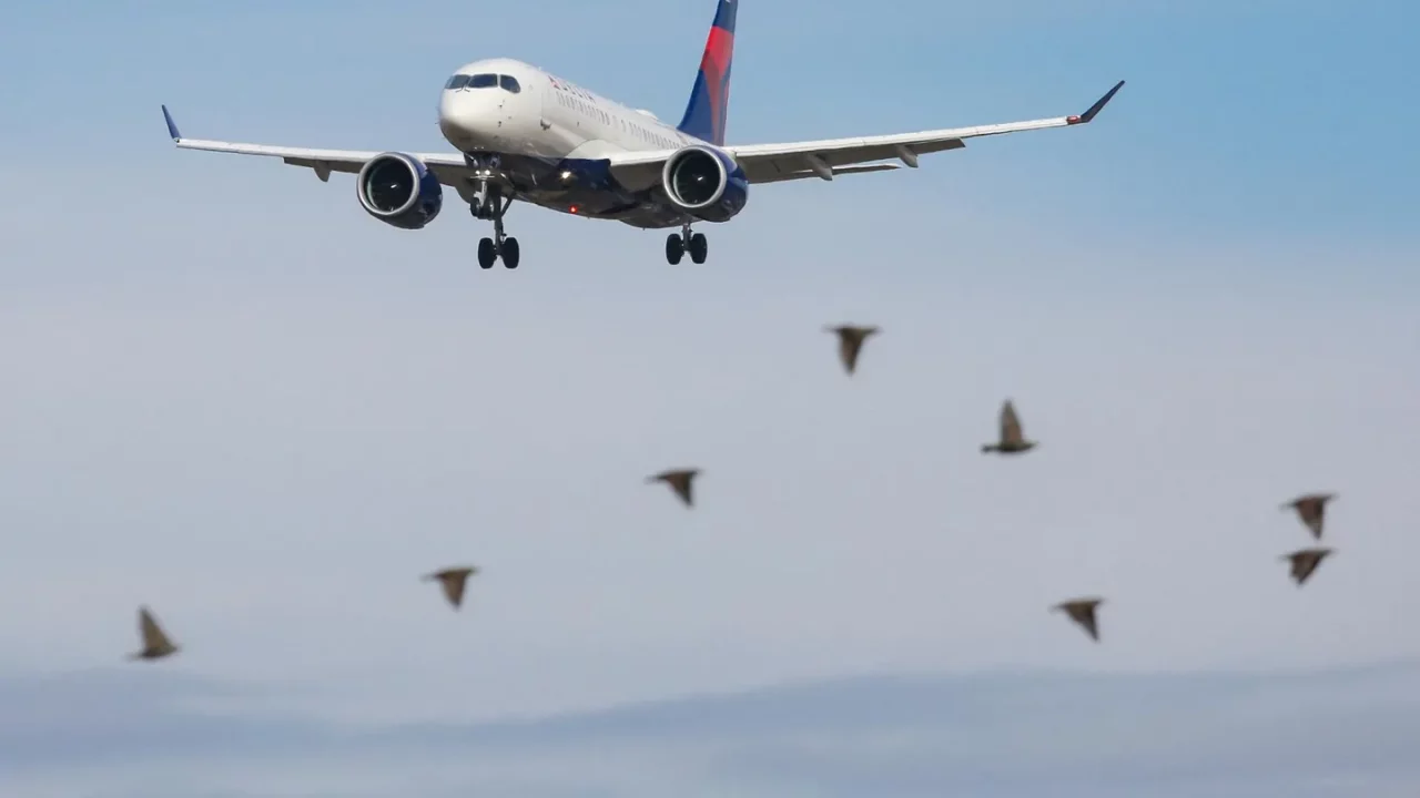 Una empresa estatal china suministró titanio sospechoso utilizado en aviones Boeing y Airbus