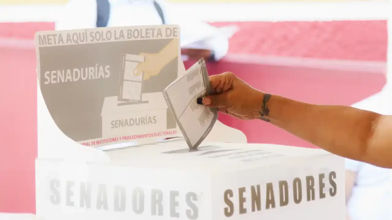 Tijuana: desplazados por la violencia salen a votar protegidos por activistas