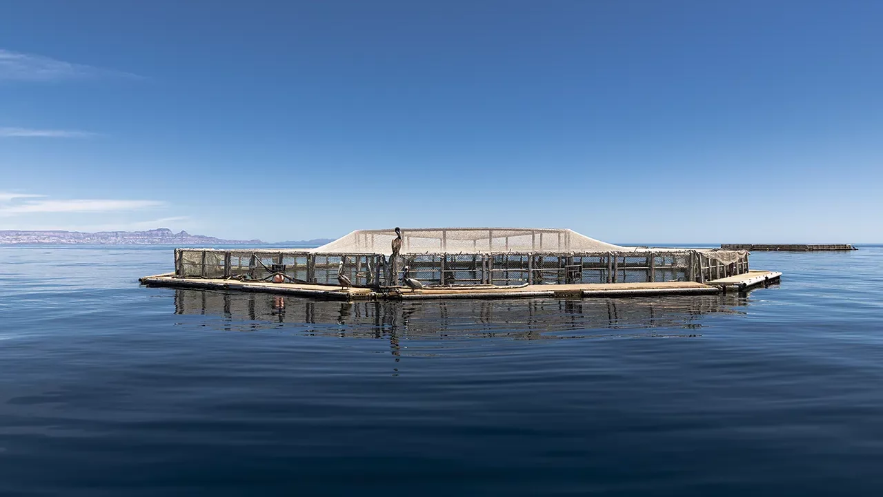 Invierten 1 mdd en la formación de emprendedores climáticos en Baja California Sur