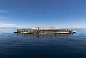 La gran casa de la totoaba. Foto: ©Edgar Olivares / Forbes México.
