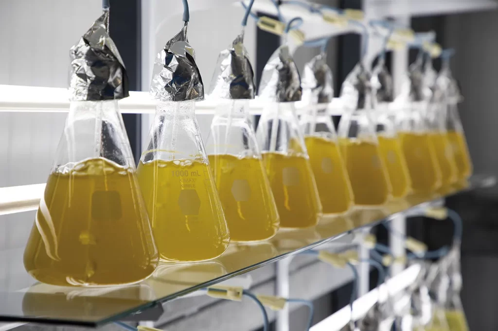 Laboratorio de incubación. Foto: ©Edgar Olivares / Forbes México.