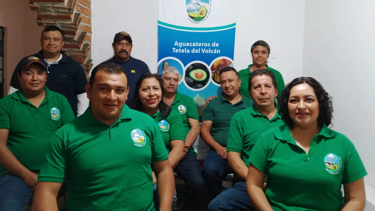 Esta comunidad aguacatera pasó de estafada a disparar sus ventas en 126%