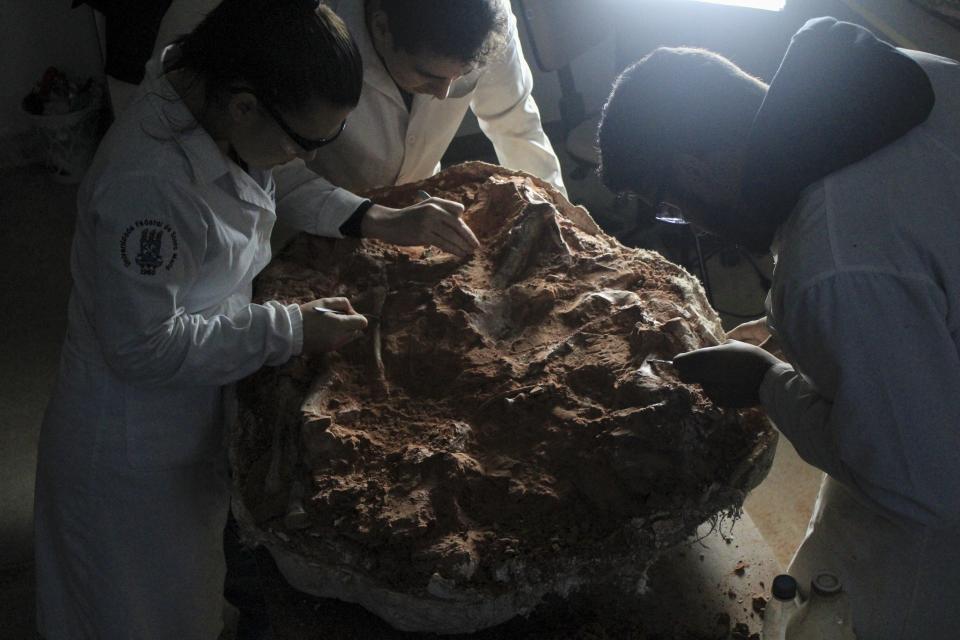 Fósil de dinosaurio de 233 millones de años fue descubierto tras las inundaciones en Brasil