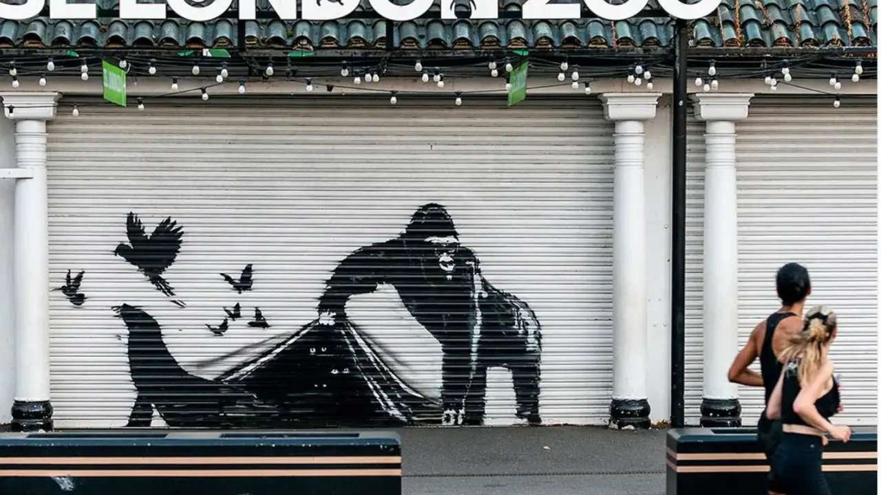 Al noveno día de creación, Banksy utiliza el zoológico de Londres como lienzo