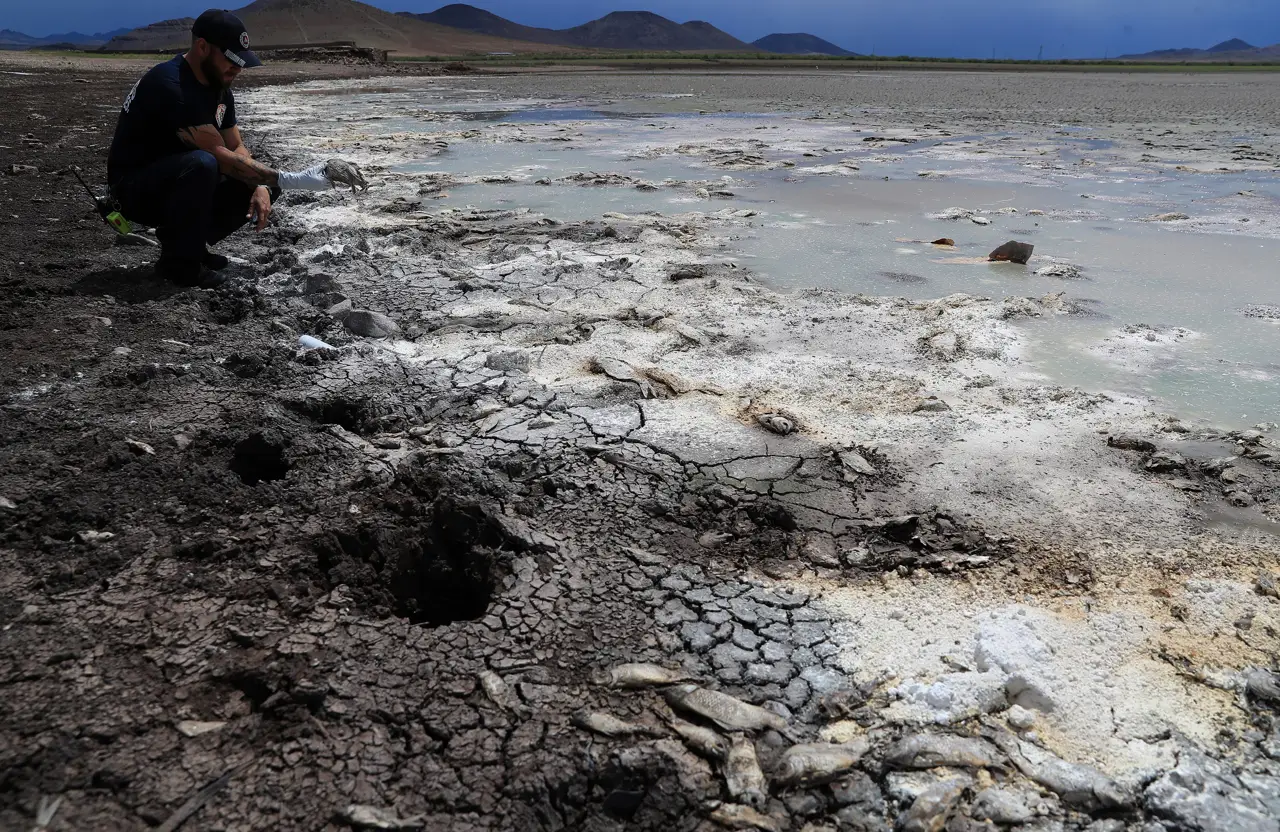 México logra su nivel más bajo de sequía en seis años tras crisis iniciada en 2023