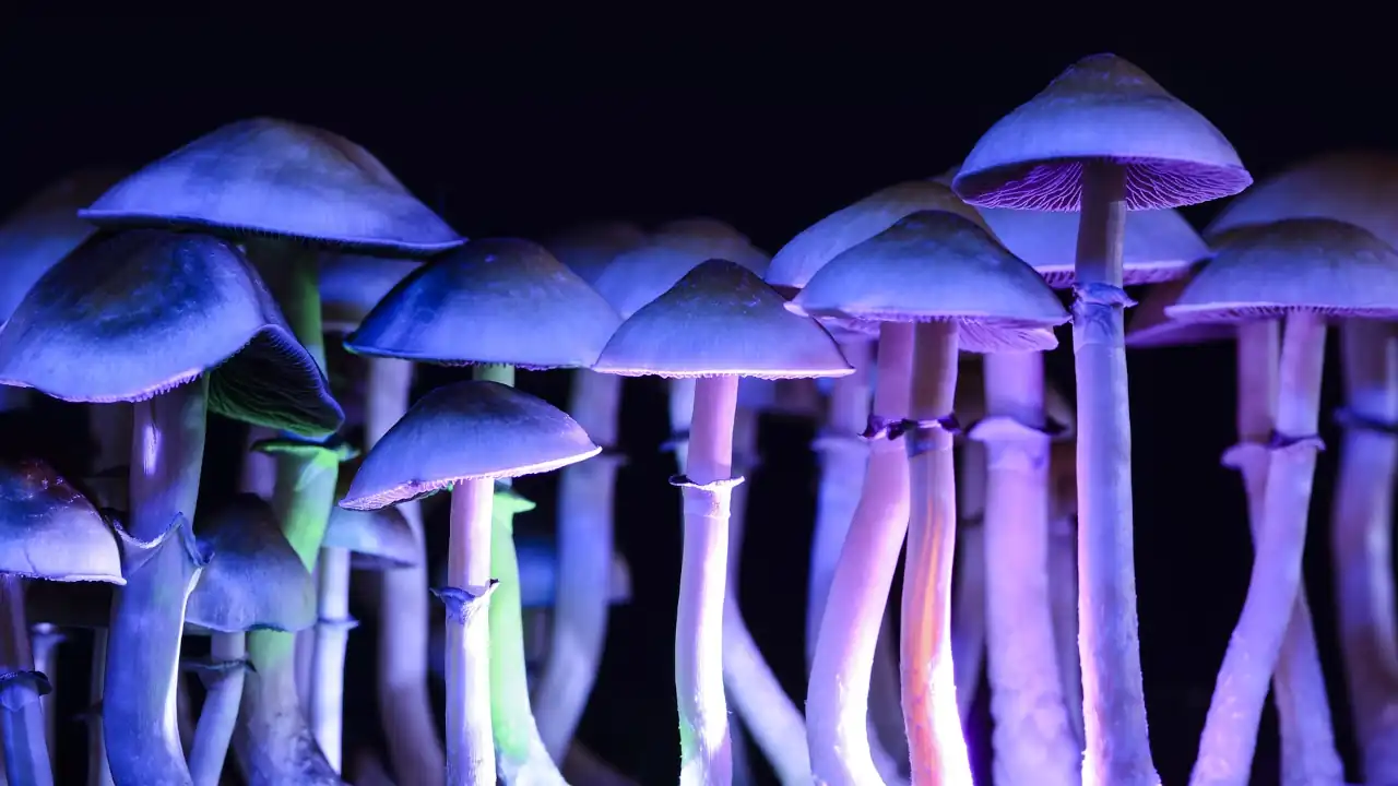 Terapias con MDMA: ¿Avance en el trastorno por estrés postraumático o una apuesta arriesgada?